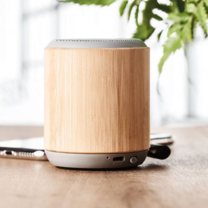 Enceinte sans fil 5.3 en bambou