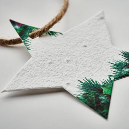 Ornement étoile en papier semences