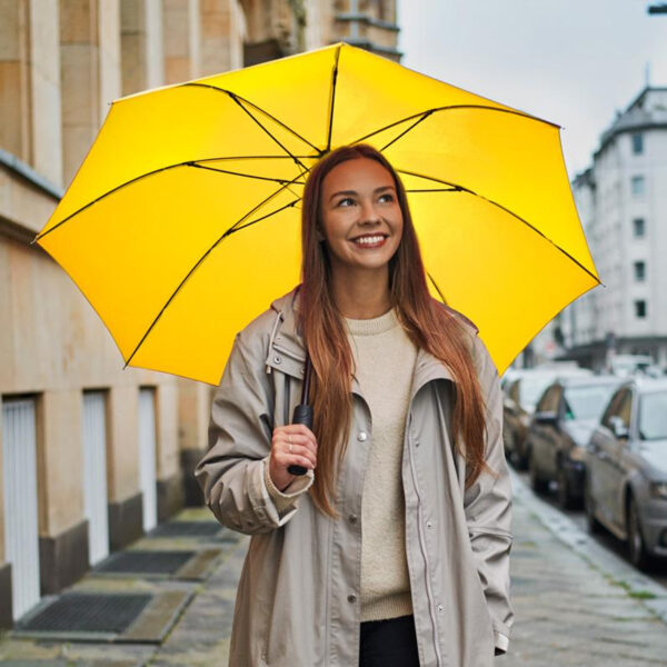 FP1245-0.jpg Parapluie Standard FARE – Image 1