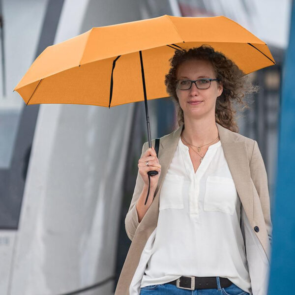 FP5002-0.jpg Parapluie de Poche FARE – Image 1