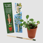 Crayon à Semer en Bois de Tilleul personnalisé