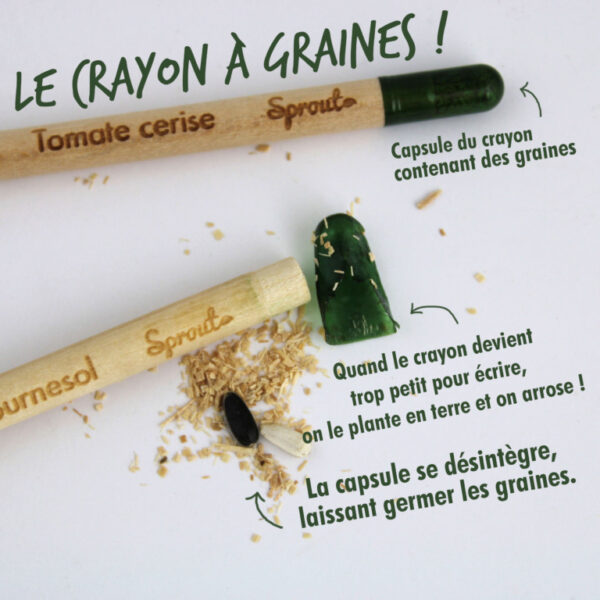 Crayon à Semer en Bois de Tilleul - Écologique et Innovant – Image 2