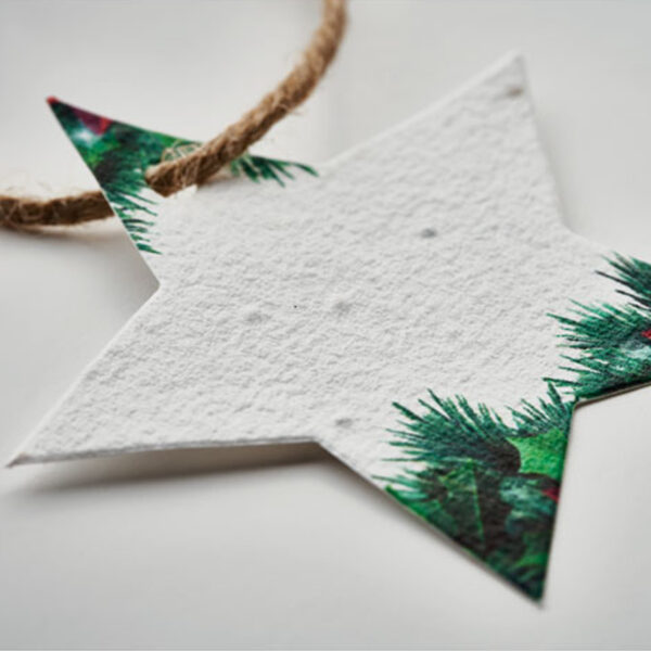 Ornement étoile en papier semences – Image 1