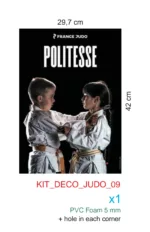 Lot 8 affiches du code moral – Image 4